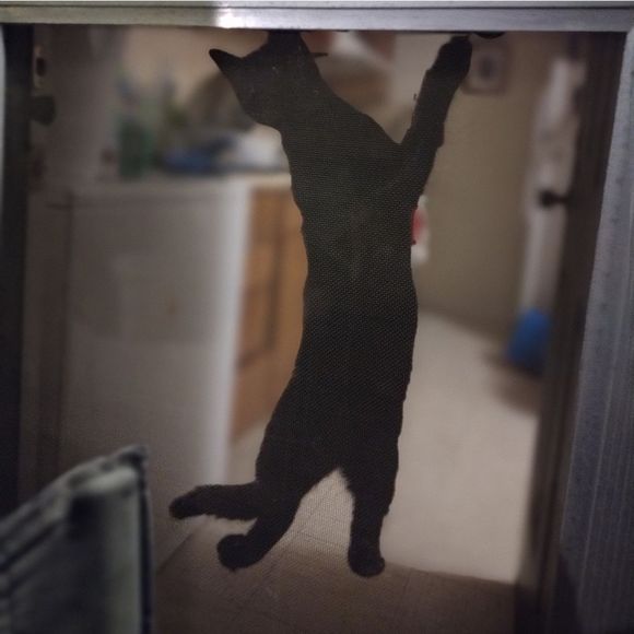 Offers Accepted! - Picture 5 of 5